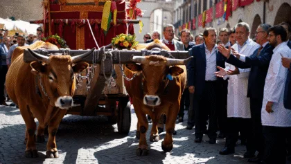 La dermatite incombe su Sant’Efisio: trattative col ministero per buoi del cocchio e traccas