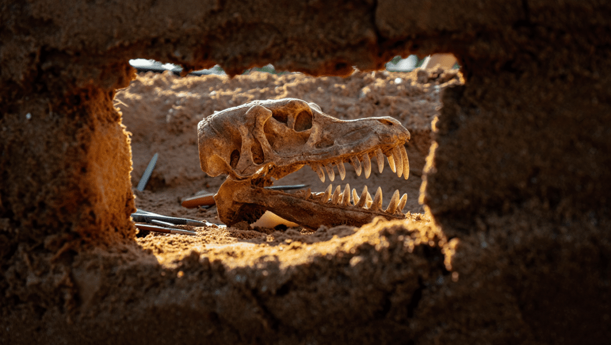 Scoperto un antico erbivoro con la mandibola contorta e denti rivolti di lato