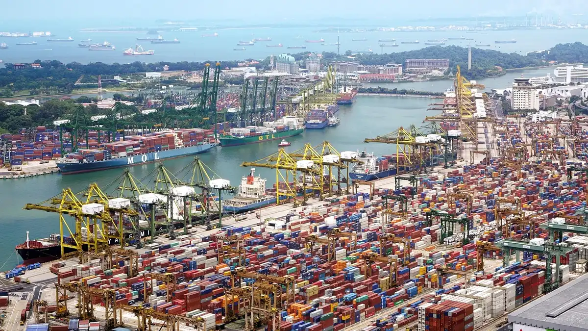 Scatole pronte per l'export e scatole imballate in magazzino logistico