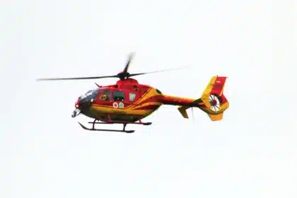 Operazione di soccorso su cordone roccioso con corde e animali salvati