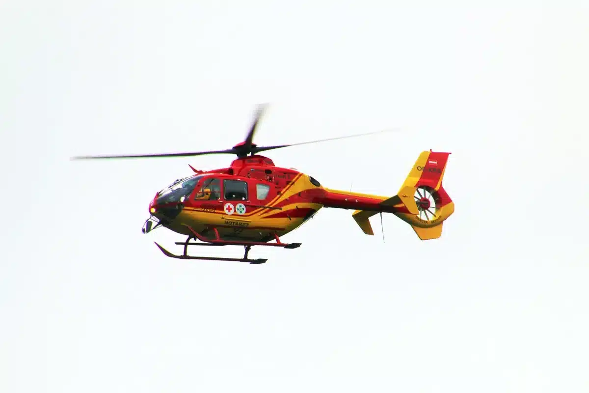 Operazione di soccorso su cordone roccioso con corde e animali salvati