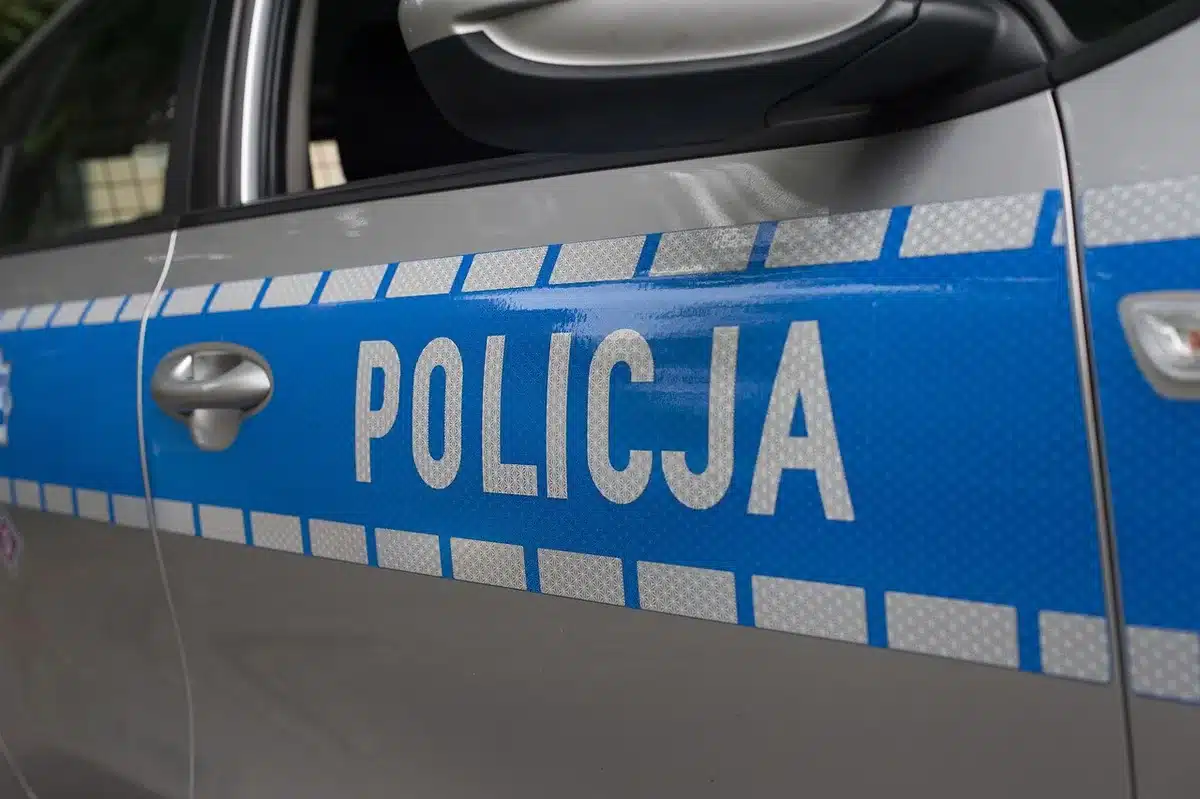 Auto di pattuglia e agenti sul luogo di un fermo notturno in strada